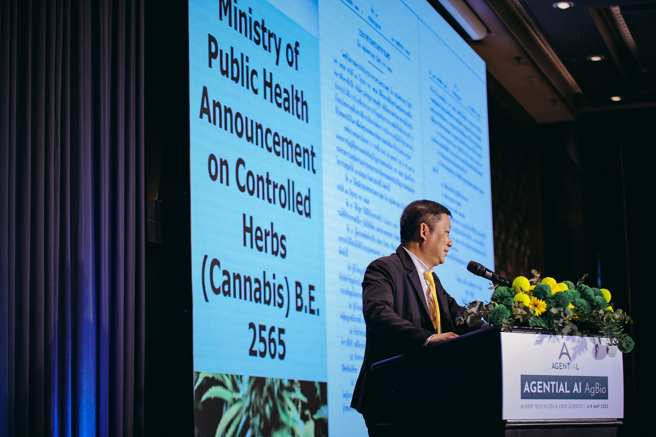 A speaker presenting Thailand’s Ministry of Public Health announcement on controlled cannabis at an Agential conference in Bangkok