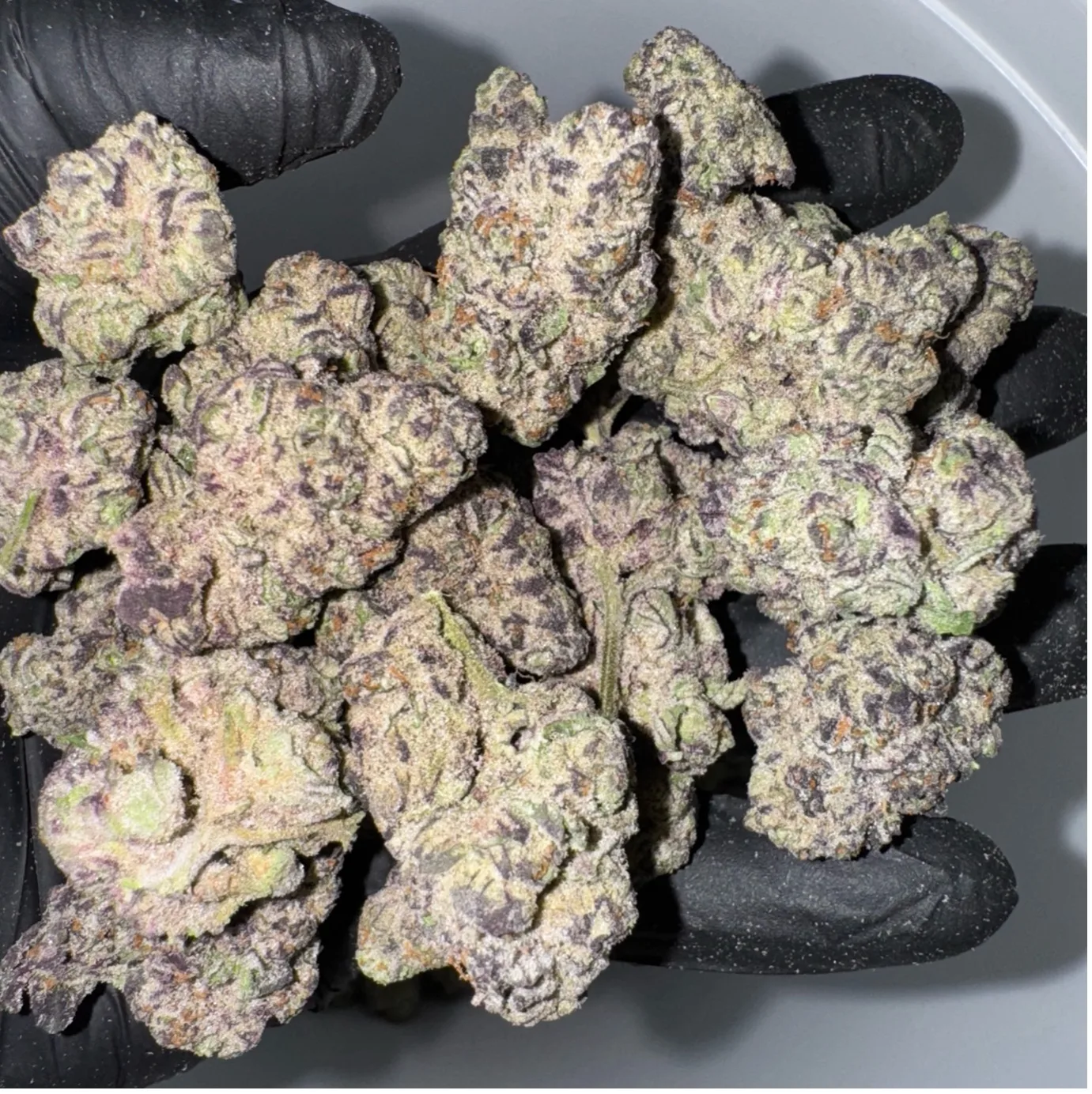 Close-up of Ice Cream Cake cannabis flower buds with dense trichome coverage and purple coloration, showcasing modern hybrid cannabis genetics.
