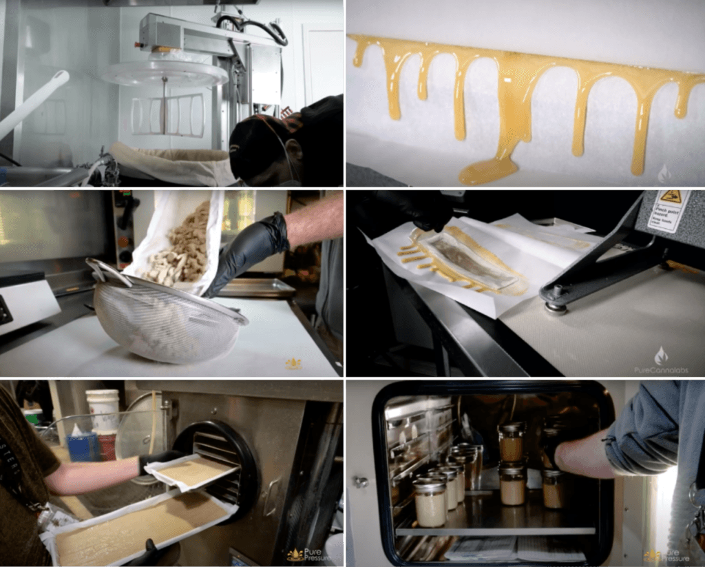 Solventless cannabis extraction process showing hash preparation, rosin extraction, drying and packaging of cannabis concentrates