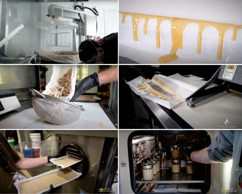 Solventless cannabis extraction process showing hash preparation, rosin extraction, drying and packaging of cannabis concentrates